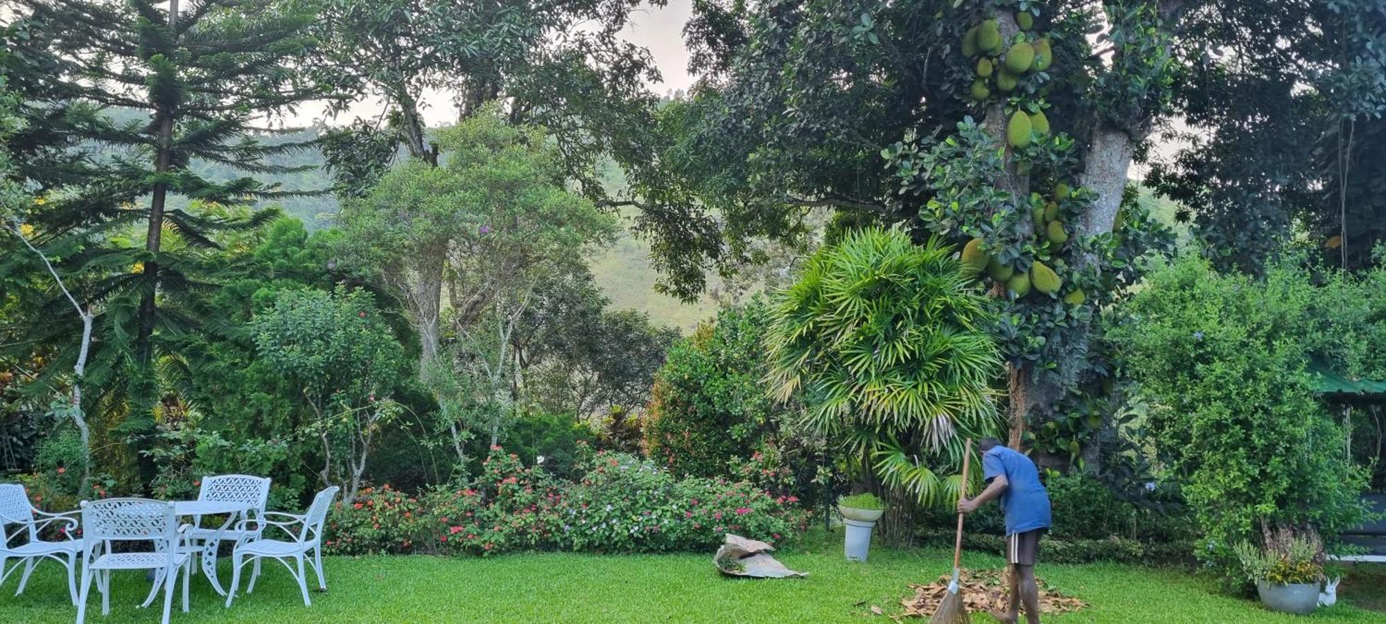 אלה Sithara Estate Bungalow מראה חיצוני תמונה