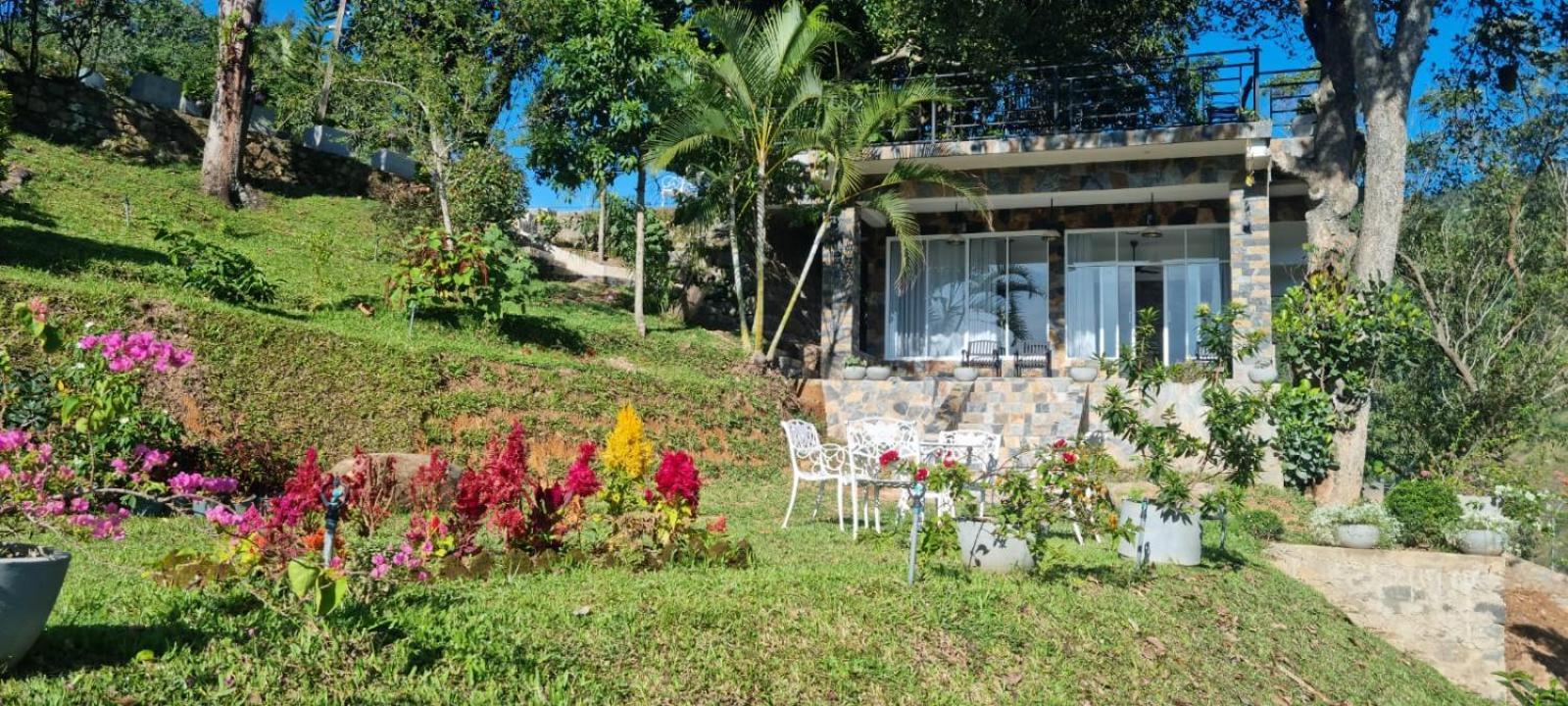 אלה Sithara Estate Bungalow מראה חיצוני תמונה