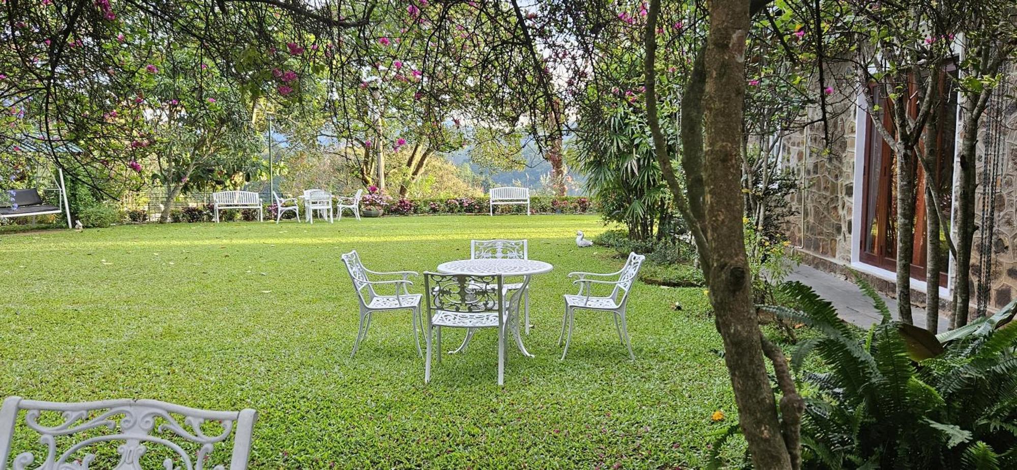 אלה Sithara Estate Bungalow מראה חיצוני תמונה