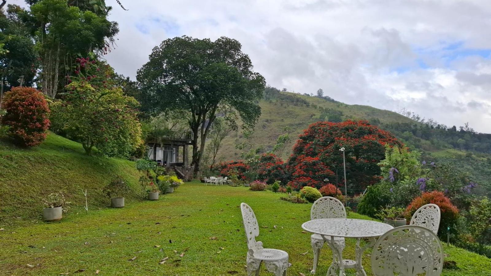 אלה Sithara Estate Bungalow מראה חיצוני תמונה