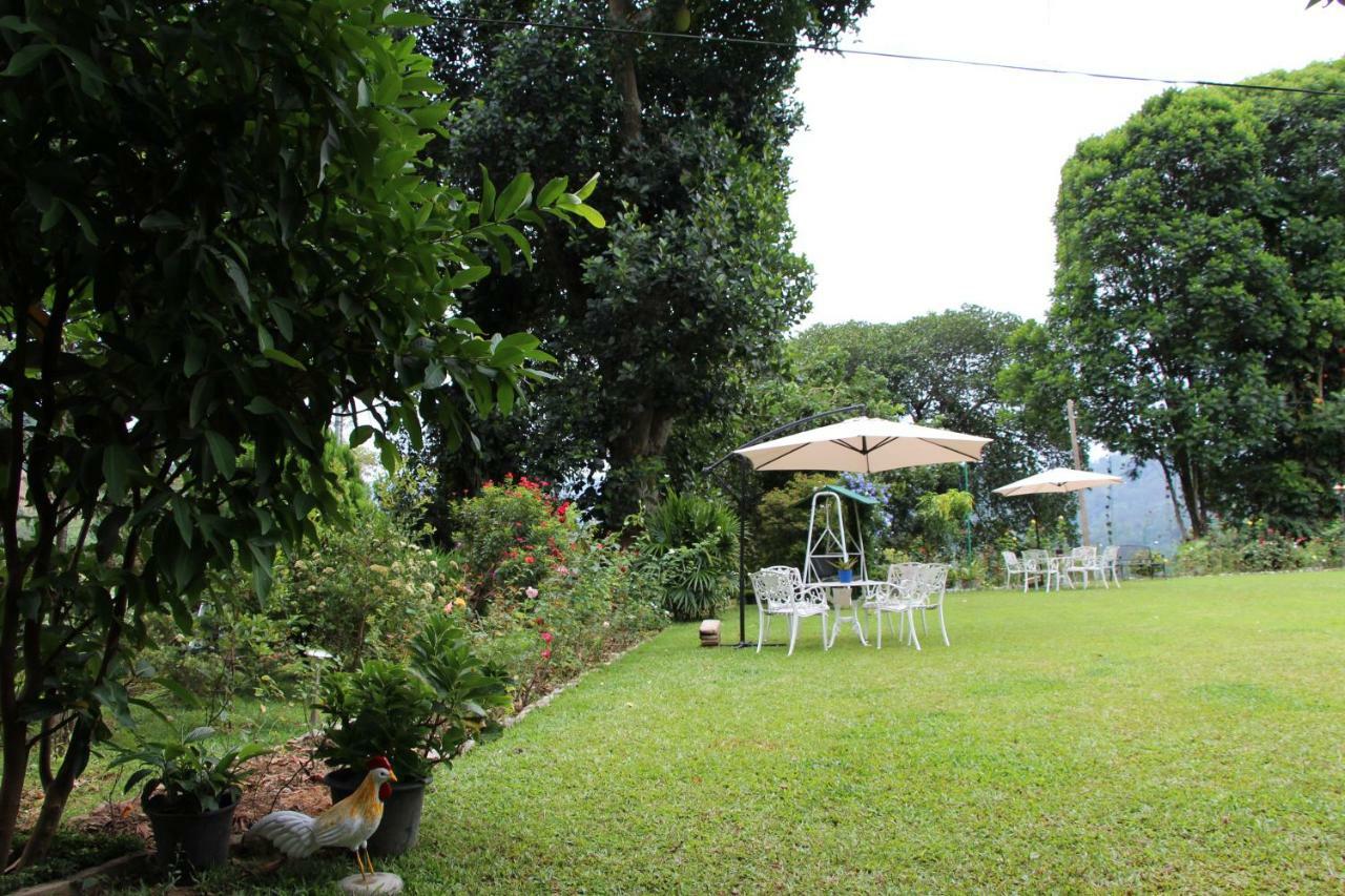 אלה Sithara Estate Bungalow מראה חיצוני תמונה
