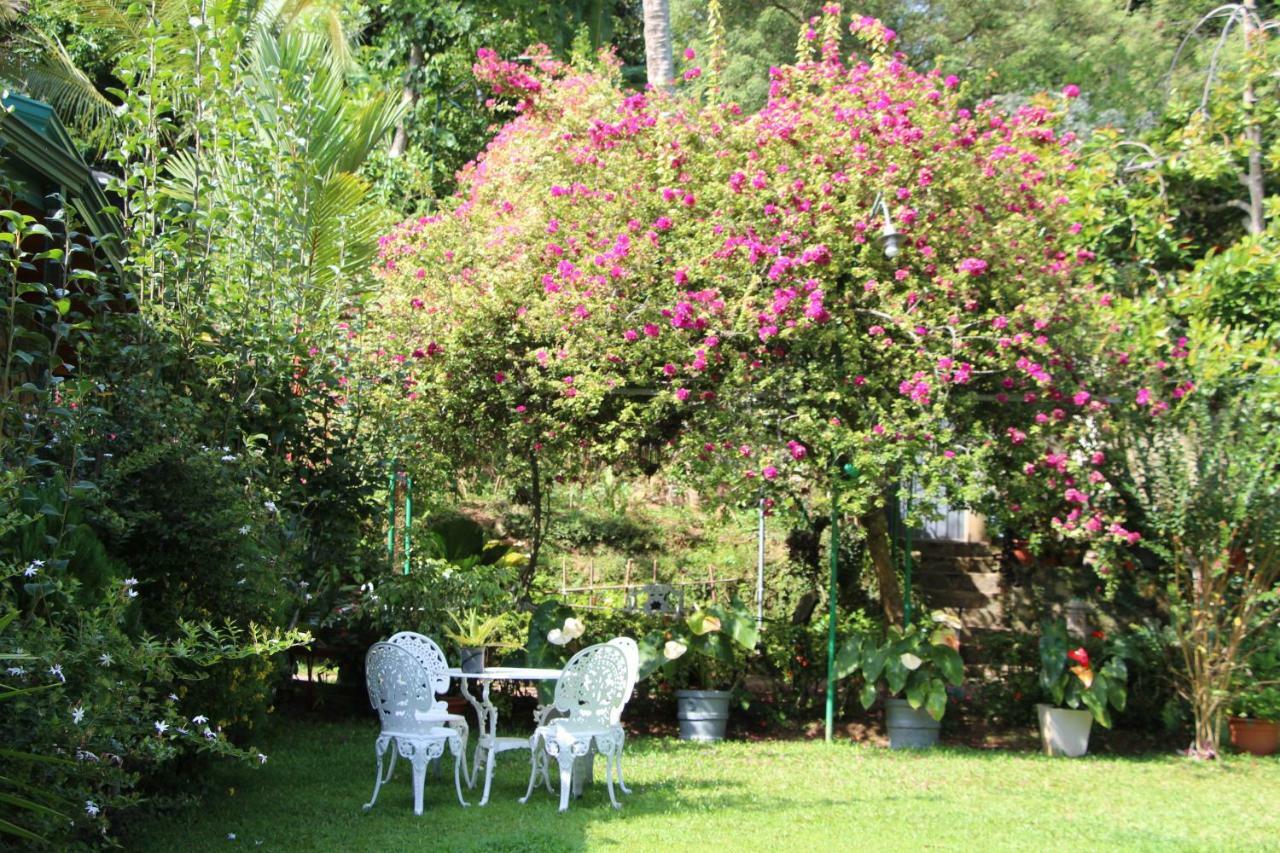 אלה Sithara Estate Bungalow מראה חיצוני תמונה